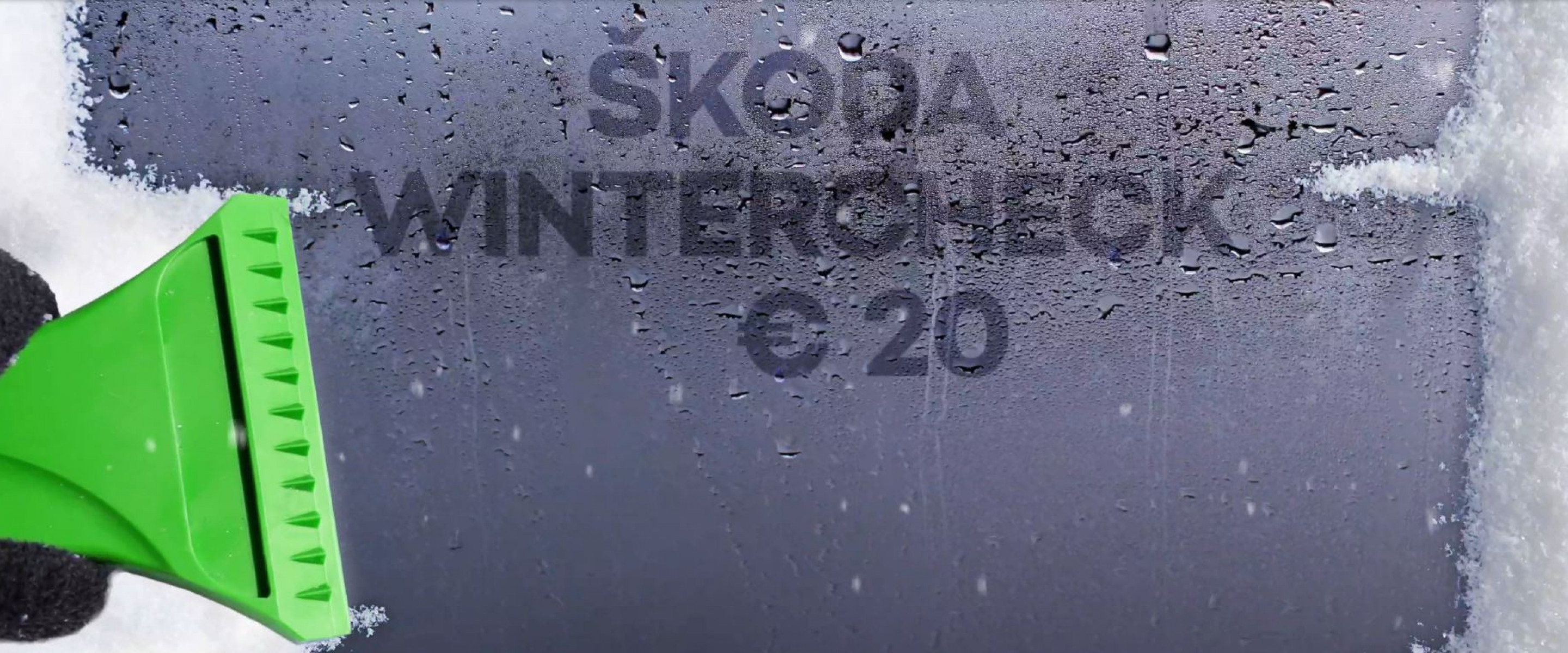 2110-SKODA-wintercheck.JPG